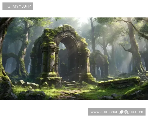 探索最受欢迎的rpg游戏吧，带你领略丰富多彩的奇幻世界与精彩剧情体验